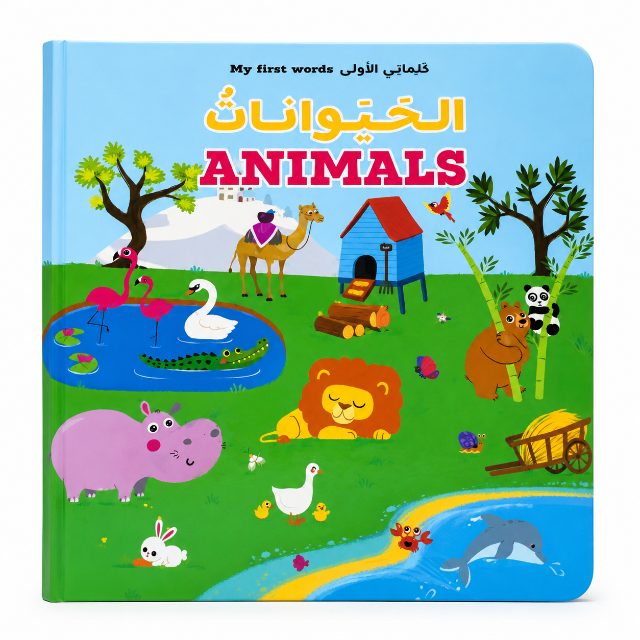 Arabic Vocabulary Scenes Books [6505-17]