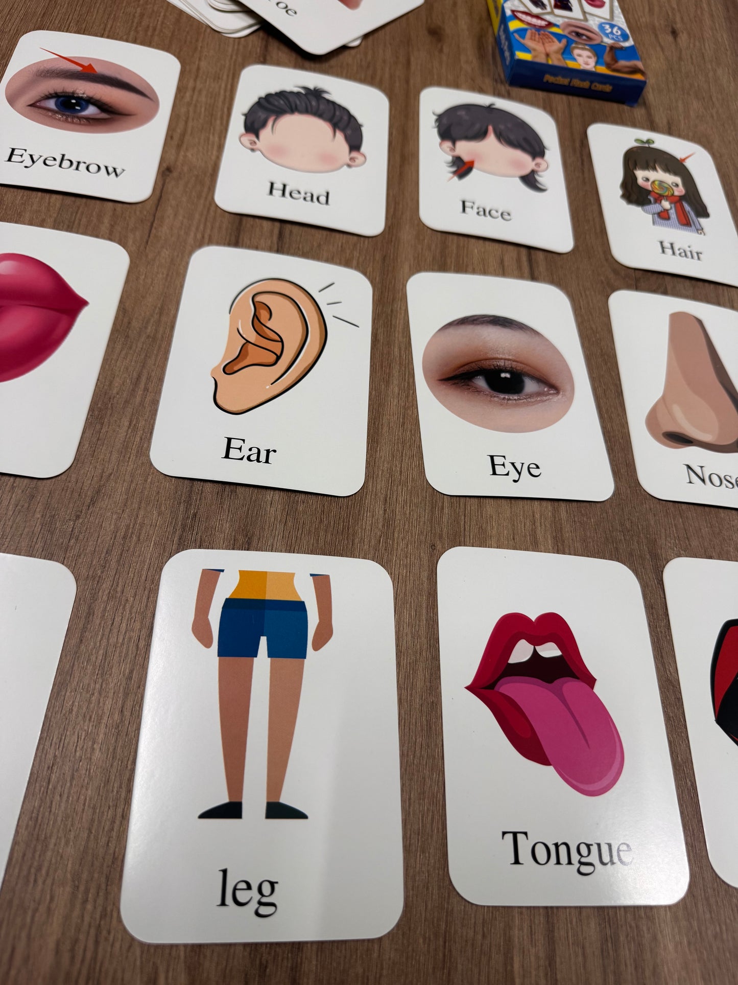 Body Parts Flashcards – 36-Piece Vocabulary Learning Set [51107-12]