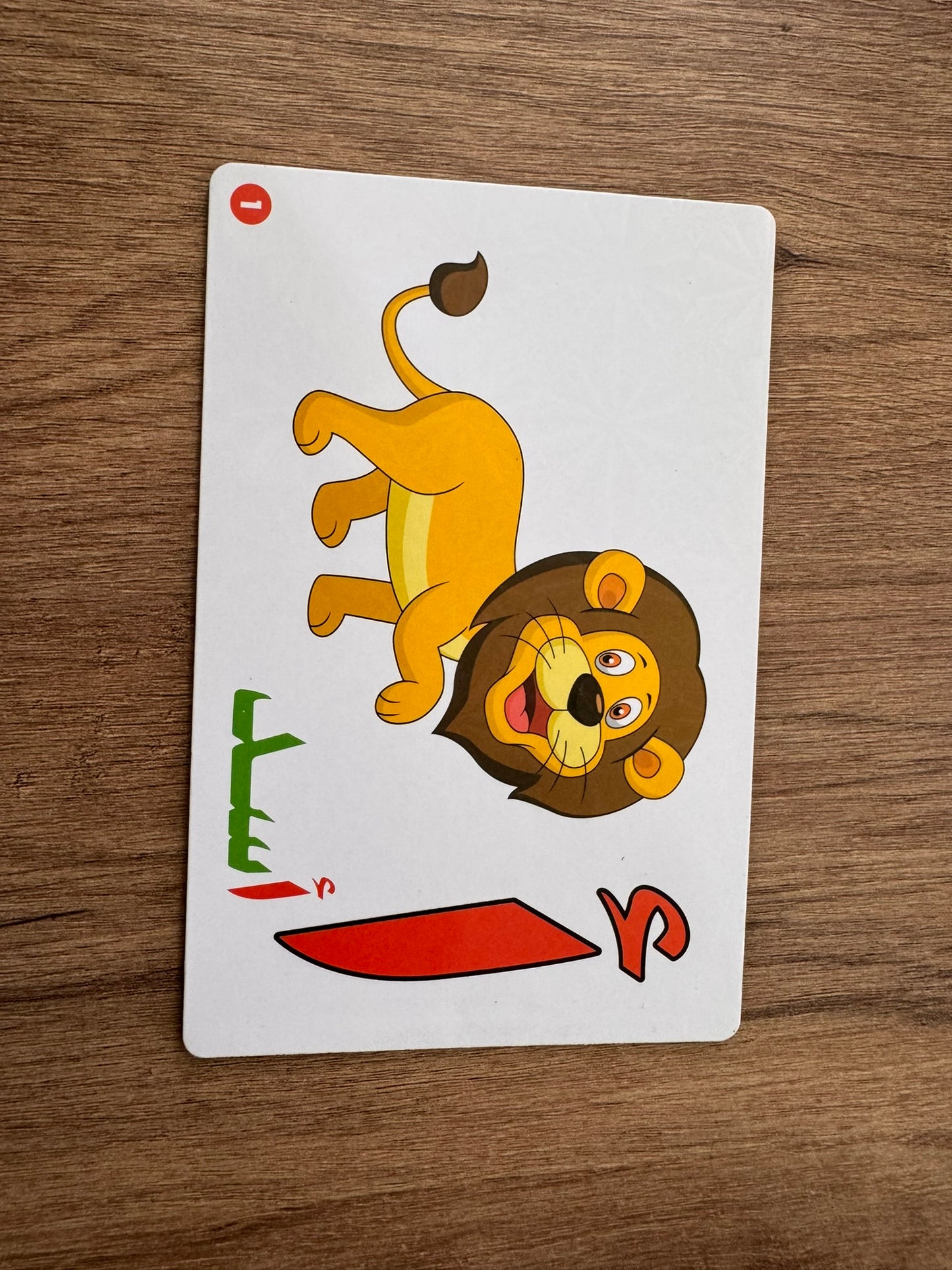 Magnetic Cards - Arabic Letter With Pictures [Rectangular] [51103-15]