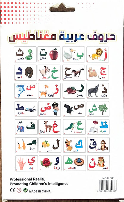 Magnetic Cards - Arabic Letter With Pictures [Rectangular] [51103-15]