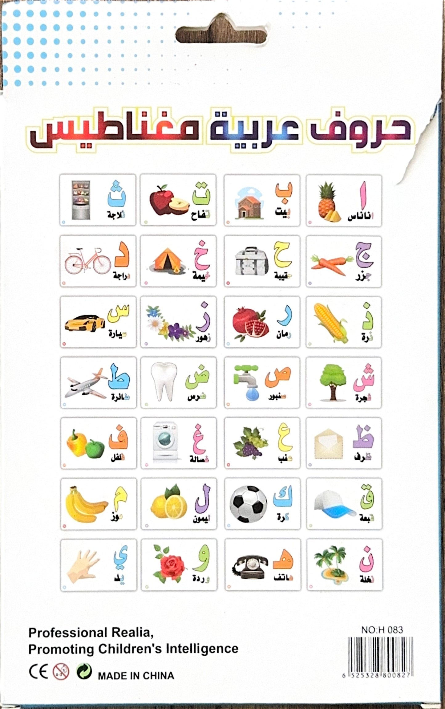 Magnetic Cards - Arabic Letter With Pictures [Rectangular] [51103-15]