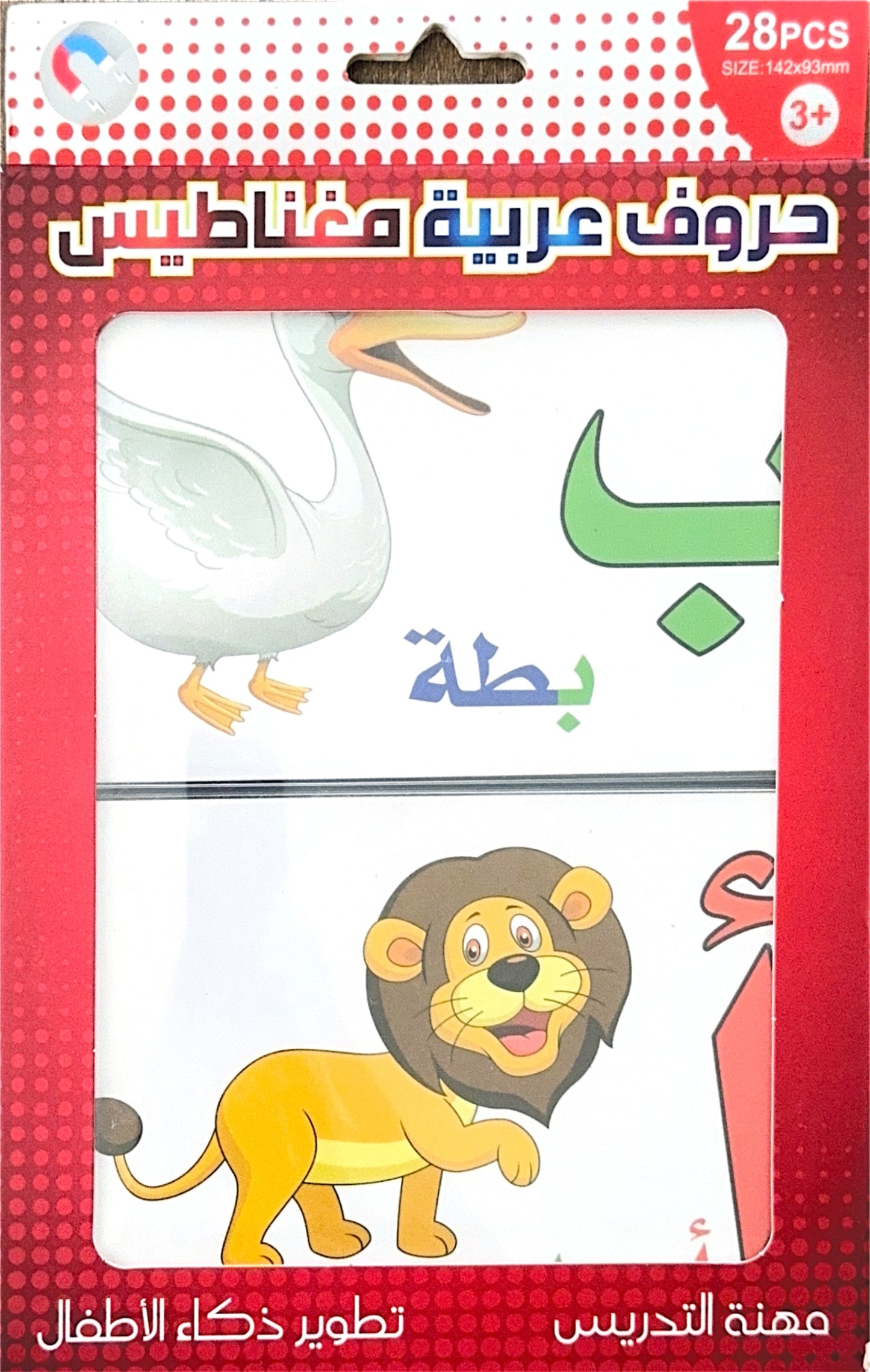 Magnetic Cards - Arabic Letter With Pictures [Rectangular] [51103-15]