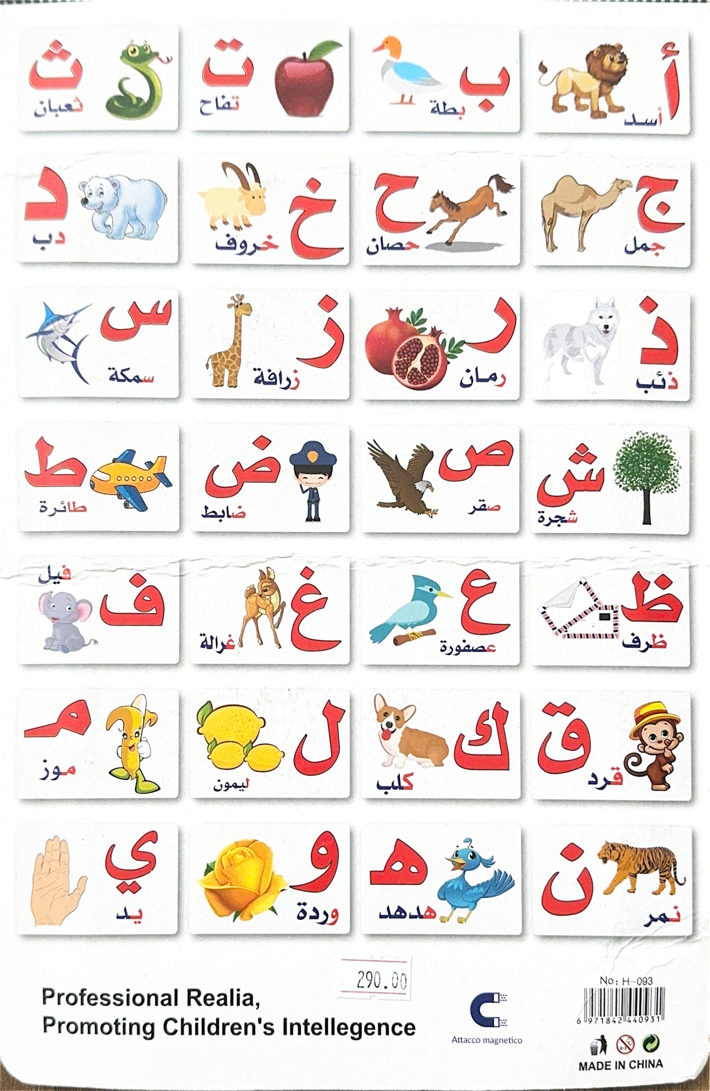 Magnetic Cards - Arabic Letters with White Background and Pictures [51103-21]