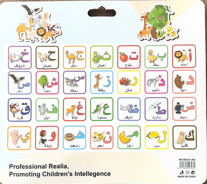 Magnetic Cards - Arabic Letters (Square) with Pictures [51103-28]