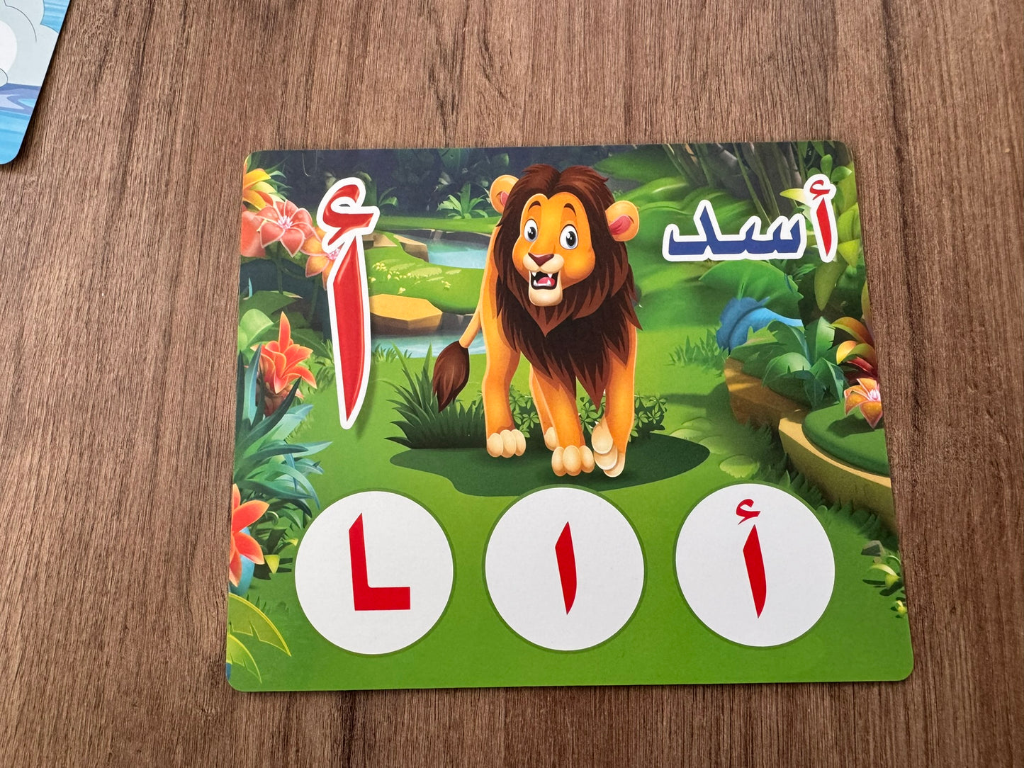 Arabic Alphabet Learning Boards – 28 Flashcards Set [51107-13]