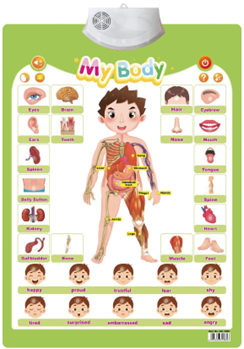 Interactive Chart - My Body [51104-9]