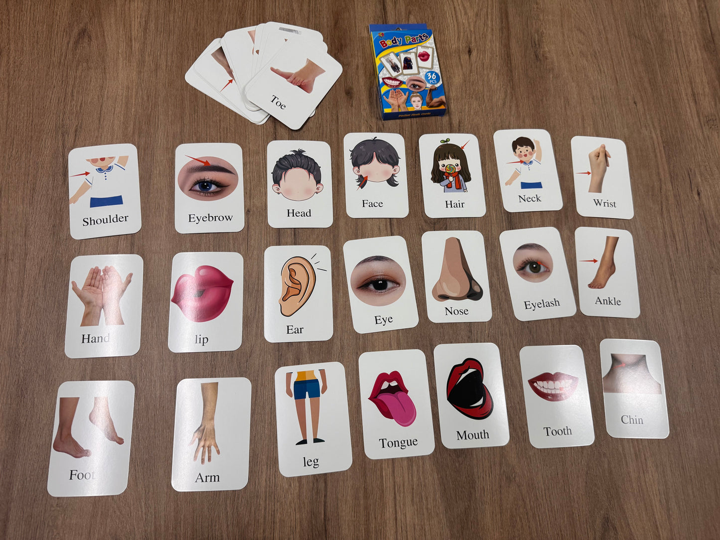 Body Parts Flashcards – 36-Piece Vocabulary Learning Set [51107-12]