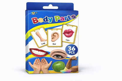 Body Parts Flashcards – 36-Piece Vocabulary Learning Set [51107-12]