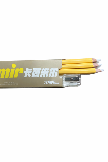 Kasimir Precision Eraser Pen (Box)