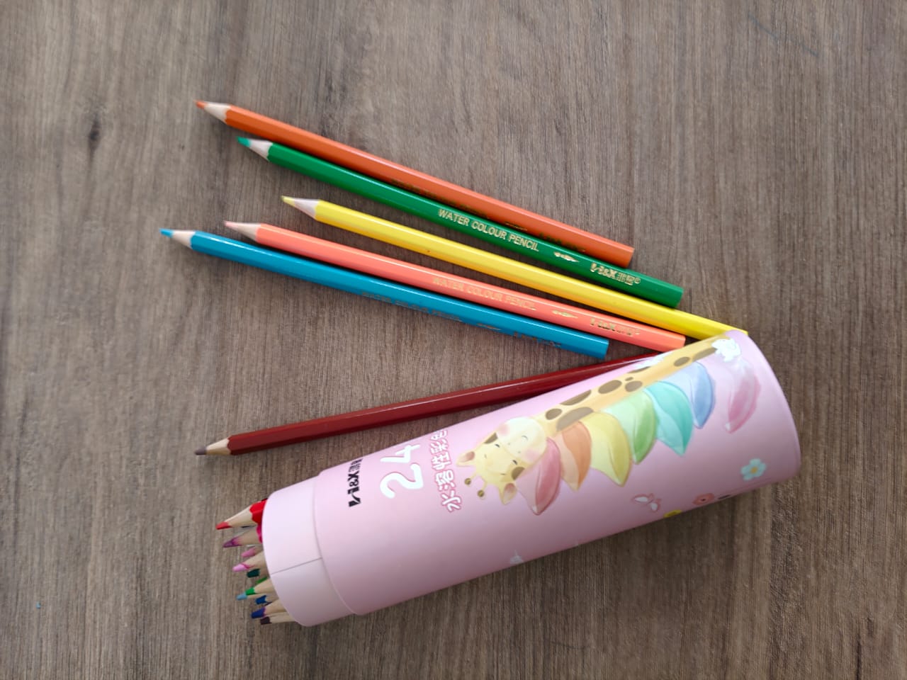 RainbowZoo Coloured Pencils – 24 Colours [51110-11]